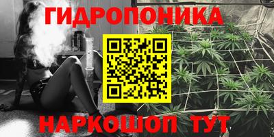 молекула духа Донецк